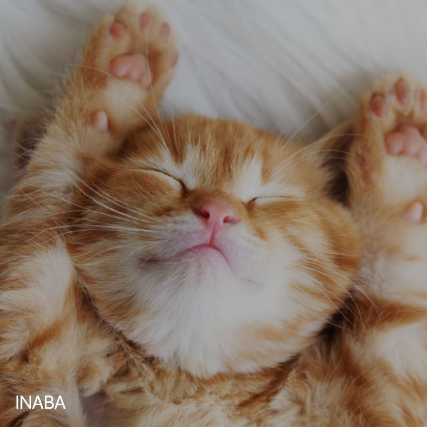 inaba
